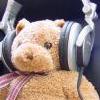 squarebear Avatar